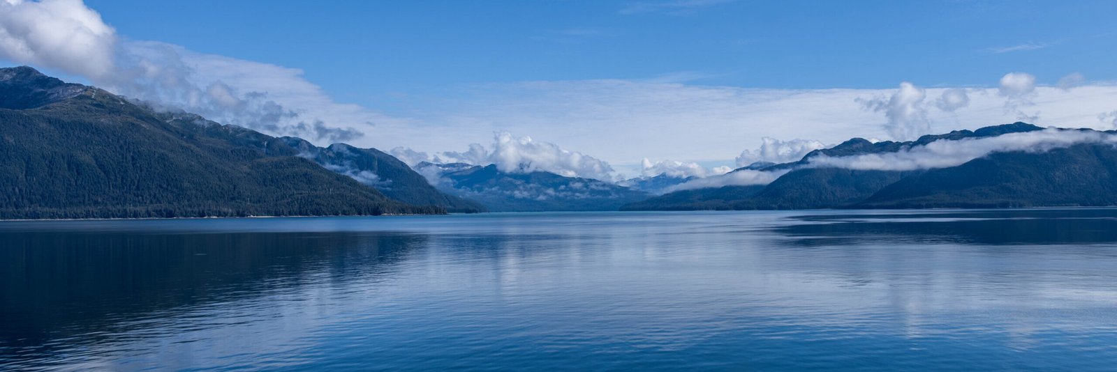 Your Best Choice in Local South Sound Photography